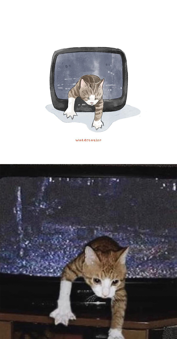 30 Of The Funniest Internet-Famous Cat Pics Get ‘Watercolorized’ By Amelia Rizky (New Pics) 30 Of The Funniest Internet-Famous Cat Pics Get ‘Watercolorized’ By Amelia Rizky (New Pics)