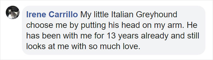 Dog Hugs A Reporter Visiting A Shelter To Do A Story Until He, Allegedly, Decides To Adopt Her Dog Hugs A Reporter Visiting A Shelter To Do A Story Until He, Allegedly, Decides To Adopt Her