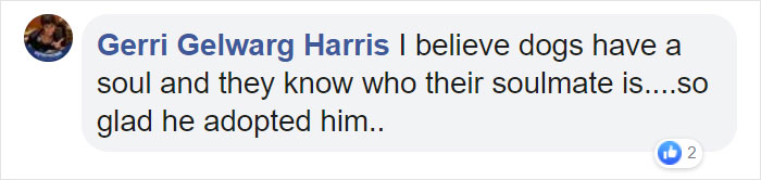 Dog Hugs A Reporter Visiting A Shelter To Do A Story Until He, Allegedly, Decides To Adopt Her Dog Hugs A Reporter Visiting A Shelter To Do A Story Until He, Allegedly, Decides To Adopt Her
