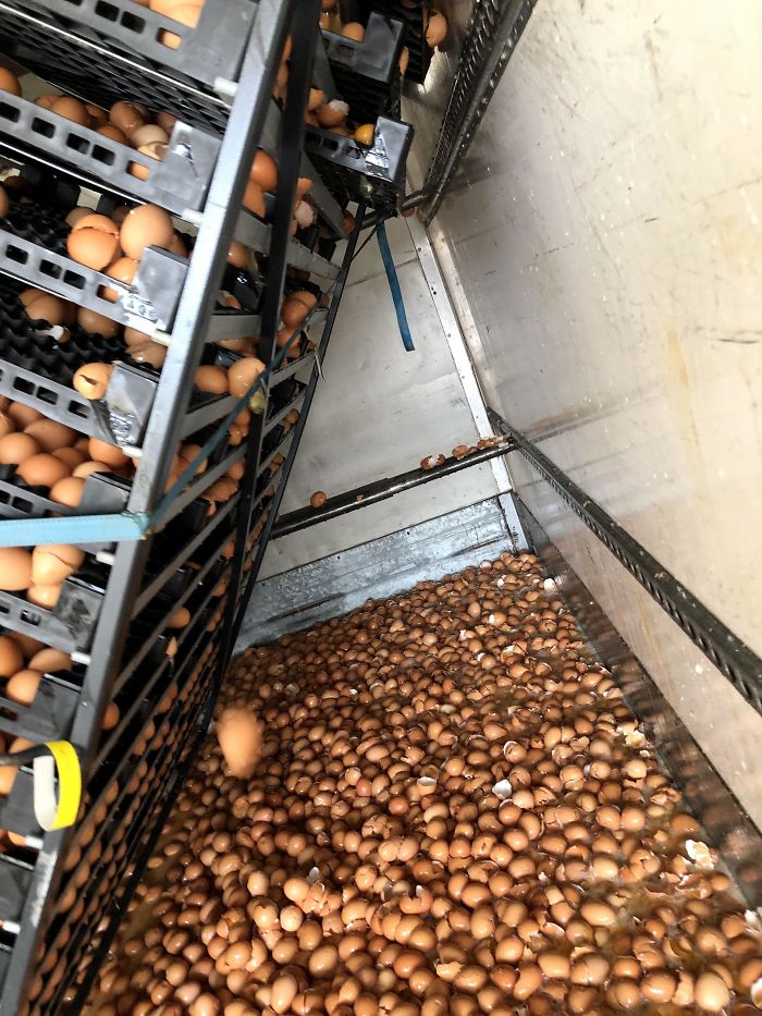 50 Photos Of People Having A Worse Day Than You 50 Photos Of People Having A Worse Day Than You