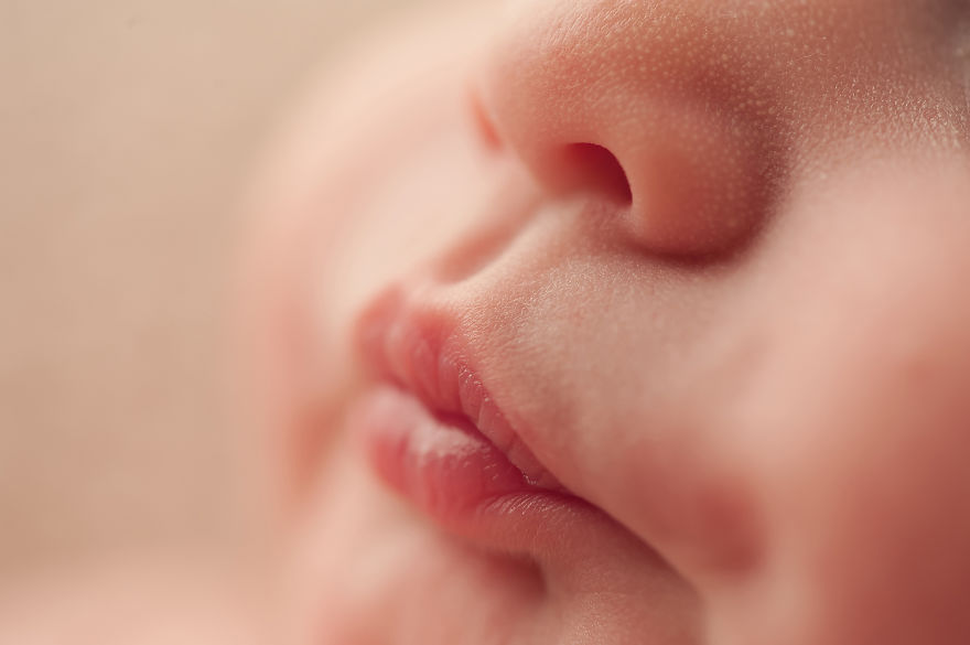 Here Are My Adorable And The Most Requested Newborn Photos Here Are My Adorable And The Most Requested Newborn Photos