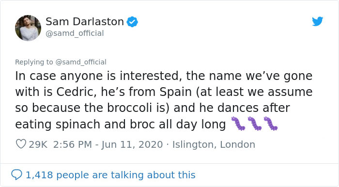 Guy Finds Caterpillars In Tesco Broccoli, Decides To Raise Them Into Butterflies And Documents The Entire Process Guy Finds Caterpillars In Tesco Broccoli, Decides To Raise Them Into Butterflies And Documents The Entire Process