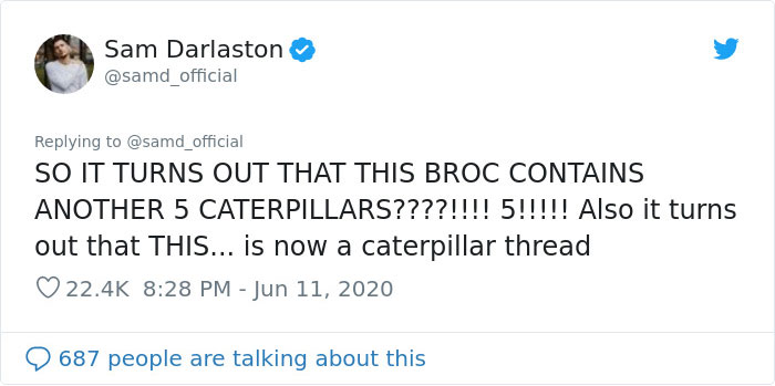 Guy Finds Caterpillars In Tesco Broccoli, Decides To Raise Them Into Butterflies And Documents The Entire Process Guy Finds Caterpillars In Tesco Broccoli, Decides To Raise Them Into Butterflies And Documents The Entire Process