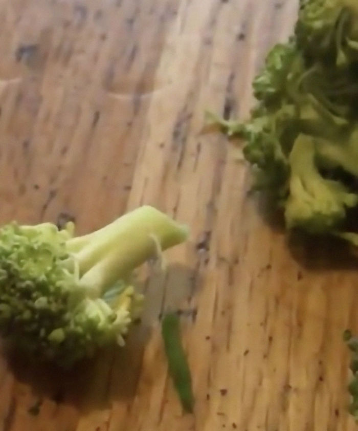 Guy Finds Caterpillars In Tesco Broccoli, Decides To Raise Them Into Butterflies And Documents The Entire Process Guy Finds Caterpillars In Tesco Broccoli, Decides To Raise Them Into Butterflies And Documents The Entire Process