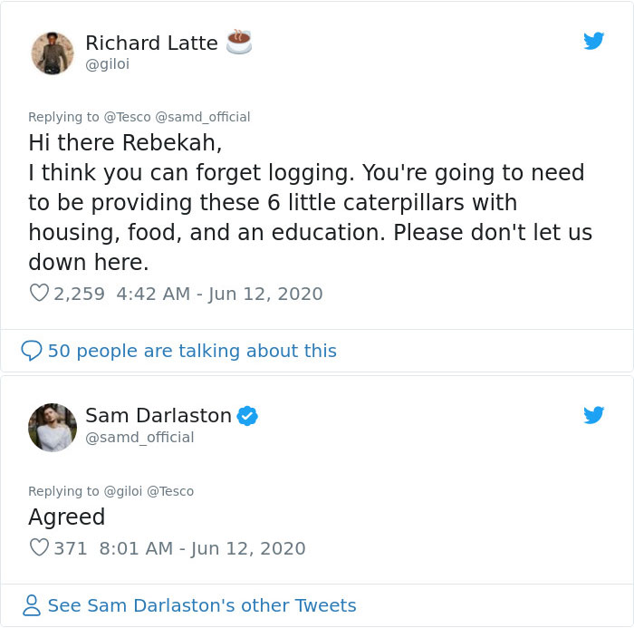 Guy Finds Caterpillars In Tesco Broccoli, Decides To Raise Them Into Butterflies And Documents The Entire Process Guy Finds Caterpillars In Tesco Broccoli, Decides To Raise Them Into Butterflies And Documents The Entire Process