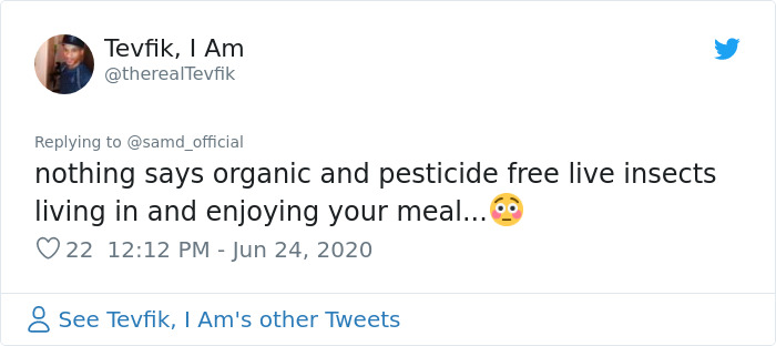 Guy Finds Caterpillars In Tesco Broccoli, Decides To Raise Them Into Butterflies And Documents The Entire Process Guy Finds Caterpillars In Tesco Broccoli, Decides To Raise Them Into Butterflies And Documents The Entire Process