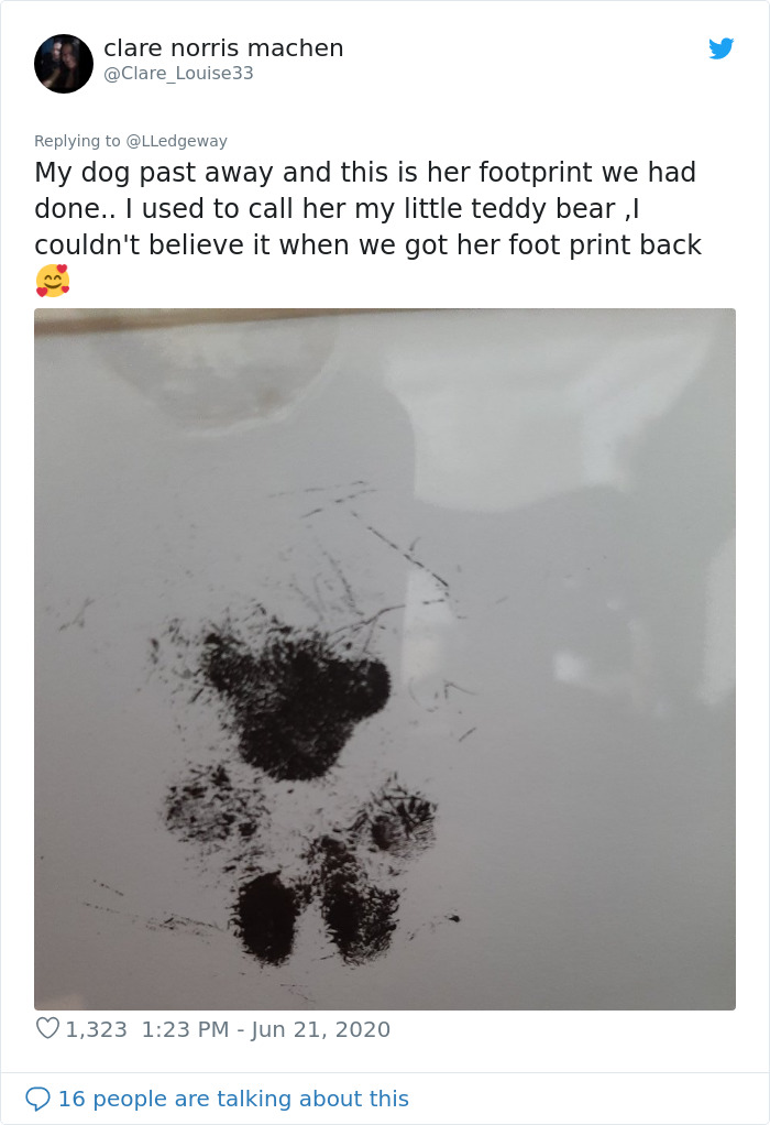 Woman Sees ‘Her Dog’ In The Sky A Few Hours After Her Death, Others Share Similar Pics And Stories Woman Sees ‘Her Dog’ In The Sky A Few Hours After Her Death, Others Share Similar Pics And Stories