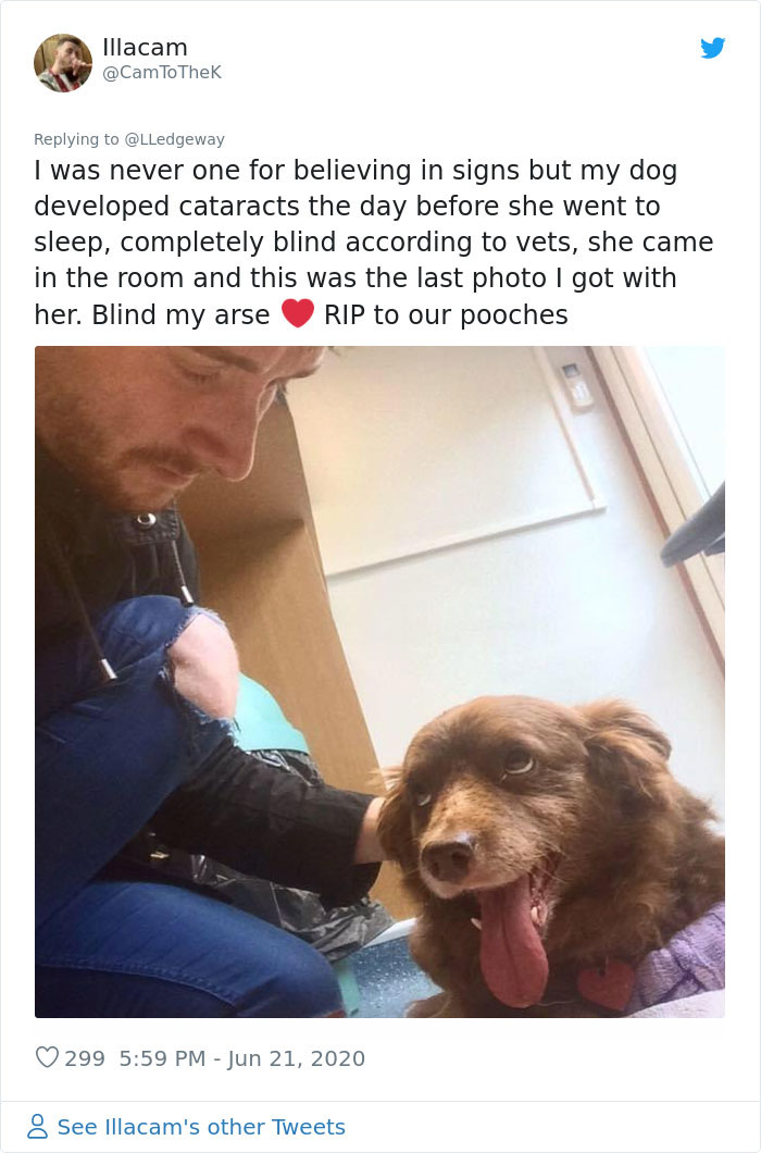 Woman Sees ‘Her Dog’ In The Sky A Few Hours After Her Death, Others Share Similar Pics And Stories Woman Sees ‘Her Dog’ In The Sky A Few Hours After Her Death, Others Share Similar Pics And Stories