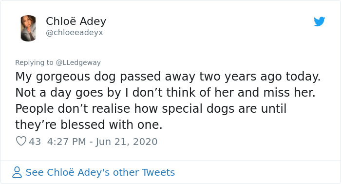 Woman Sees ‘Her Dog’ In The Sky A Few Hours After Her Death, Others Share Similar Pics And Stories Woman Sees ‘Her Dog’ In The Sky A Few Hours After Her Death, Others Share Similar Pics And Stories