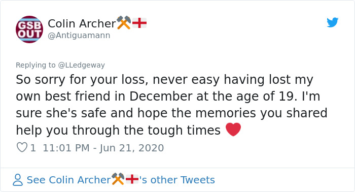 Woman Sees ‘Her Dog’ In The Sky A Few Hours After Her Death, Others Share Similar Pics And Stories Woman Sees ‘Her Dog’ In The Sky A Few Hours After Her Death, Others Share Similar Pics And Stories