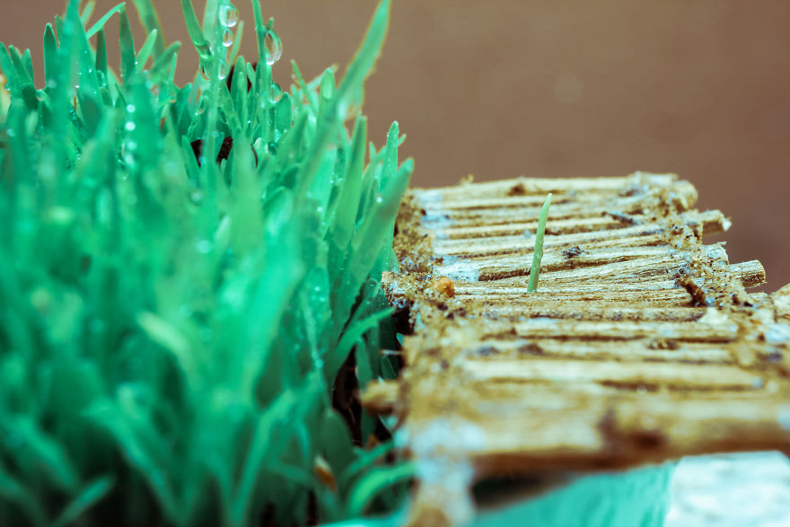 I Built A Bridge To Nowhere I Built A Bridge To Nowhere