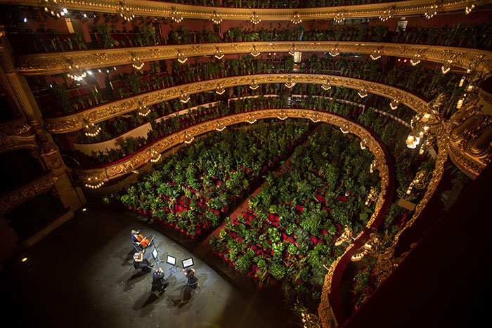 Barcelona Opera House Reopens With A Performance In Front Of A Majestic Crowd Of 2,292 Plants Barcelona Opera House Reopens With A Performance In Front Of A Majestic Crowd Of 2,292 Plants
