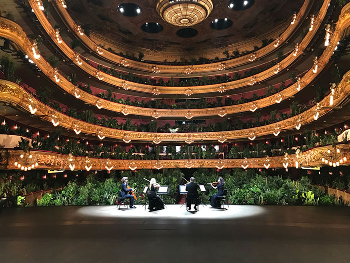 Barcelona Opera House Reopens With A Performance In Front Of A Majestic Crowd Of 2,292 Plants Barcelona Opera House Reopens With A Performance In Front Of A Majestic Crowd Of 2,292 Plants