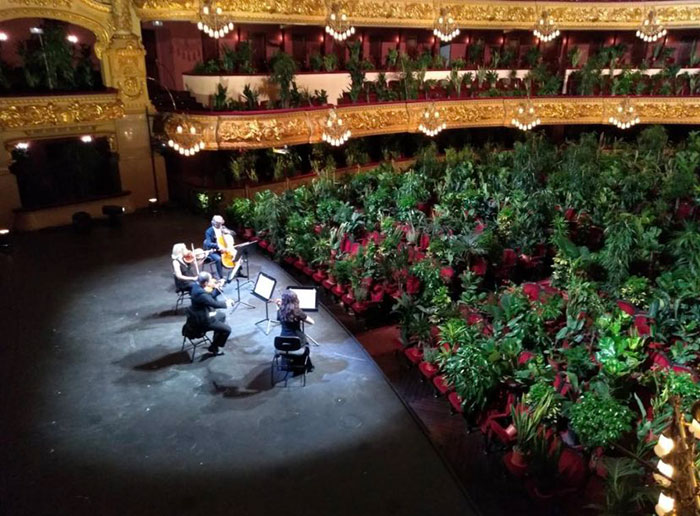 Barcelona Opera House Reopens With A Performance In Front Of A Majestic Crowd Of 2,292 Plants Barcelona Opera House Reopens With A Performance In Front Of A Majestic Crowd Of 2,292 Plants