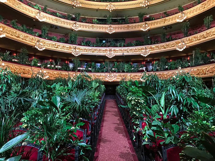 Barcelona Opera House Reopens With A Performance In Front Of A Majestic Crowd Of 2,292 Plants Barcelona Opera House Reopens With A Performance In Front Of A Majestic Crowd Of 2,292 Plants