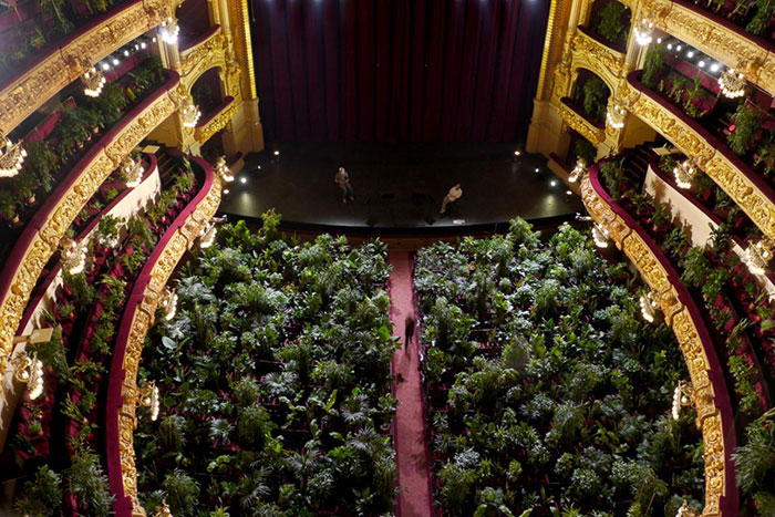 Barcelona Opera House Reopens With A Performance In Front Of A Majestic Crowd Of 2,292 Plants Barcelona Opera House Reopens With A Performance In Front Of A Majestic Crowd Of 2,292 Plants