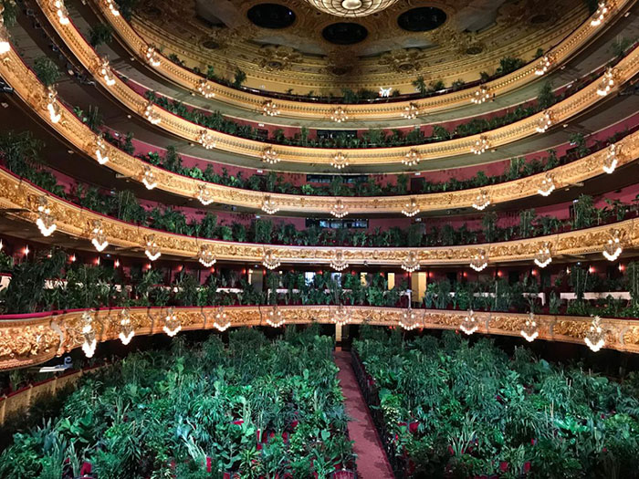 Barcelona Opera House Reopens With A Performance In Front Of A Majestic Crowd Of 2,292 Plants Barcelona Opera House Reopens With A Performance In Front Of A Majestic Crowd Of 2,292 Plants