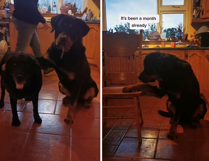 This TikTok Challenge Is Making People Cry After Seeing People Recreate Pics With Their Late Loved Ones (20 Pics) This TikTok Challenge Is Making People Cry After Seeing People Recreate Pics With Their Late Loved Ones (20 Pics)