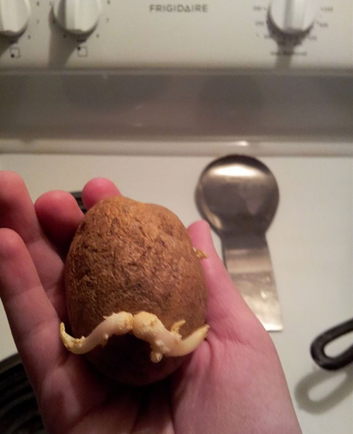 Student Returns To Her Home After Quarantine, Finds Potatoes Taking Over Her Kitchen, People Post Similar Pics Student Returns To Her Home After Quarantine, Finds Potatoes Taking Over Her Kitchen, People Post Similar Pics