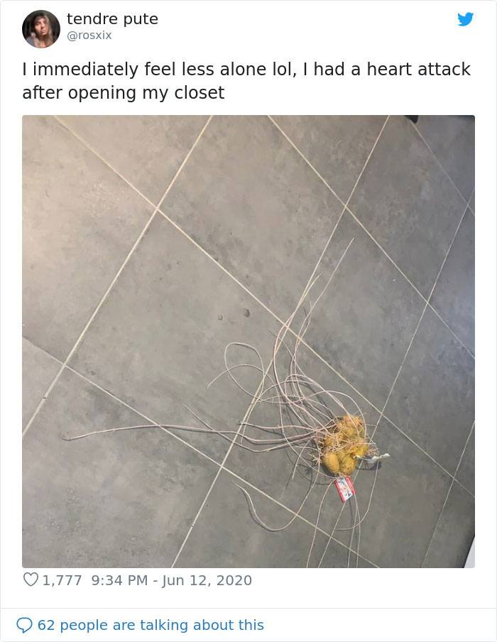 Student Returns To Her Home After Quarantine, Finds Potatoes Taking Over Her Kitchen, People Post Similar Pics Student Returns To Her Home After Quarantine, Finds Potatoes Taking Over Her Kitchen, People Post Similar Pics