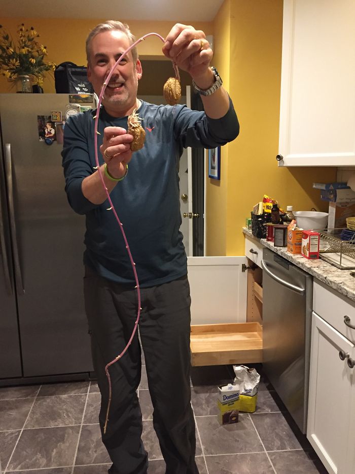 Student Returns To Her Home After Quarantine, Finds Potatoes Taking Over Her Kitchen, People Post Similar Pics Student Returns To Her Home After Quarantine, Finds Potatoes Taking Over Her Kitchen, People Post Similar Pics