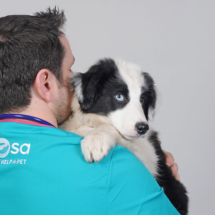 This 10-year-old Doggy Named Bonnie Attempted To Lick A Can Of Tuna And Ended Up In The ER This 10-year-old Doggy Named Bonnie Attempted To Lick A Can Of Tuna And Ended Up In The ER