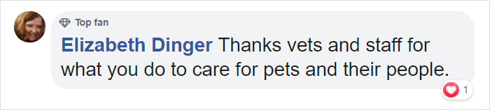 This 10-year-old Doggy Named Bonnie Attempted To Lick A Can Of Tuna And Ended Up In The ER This 10-year-old Doggy Named Bonnie Attempted To Lick A Can Of Tuna And Ended Up In The ER