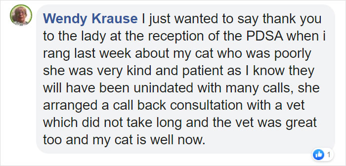This 10-year-old Doggy Named Bonnie Attempted To Lick A Can Of Tuna And Ended Up In The ER This 10-year-old Doggy Named Bonnie Attempted To Lick A Can Of Tuna And Ended Up In The ER