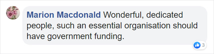 This 10-year-old Doggy Named Bonnie Attempted To Lick A Can Of Tuna And Ended Up In The ER This 10-year-old Doggy Named Bonnie Attempted To Lick A Can Of Tuna And Ended Up In The ER