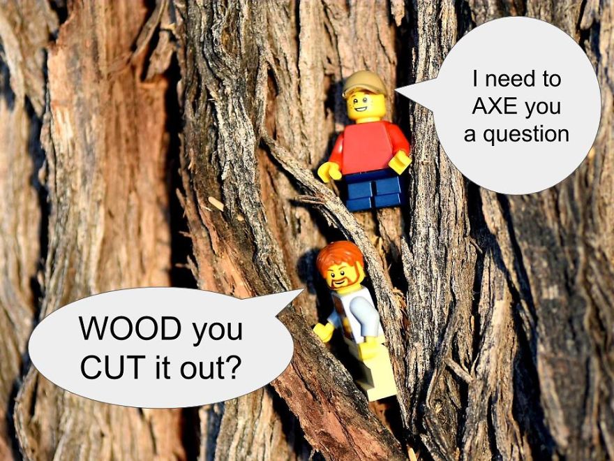 My Leggodt Mini-Figure Family Adventures My Leggodt Mini-Figure Family Adventures