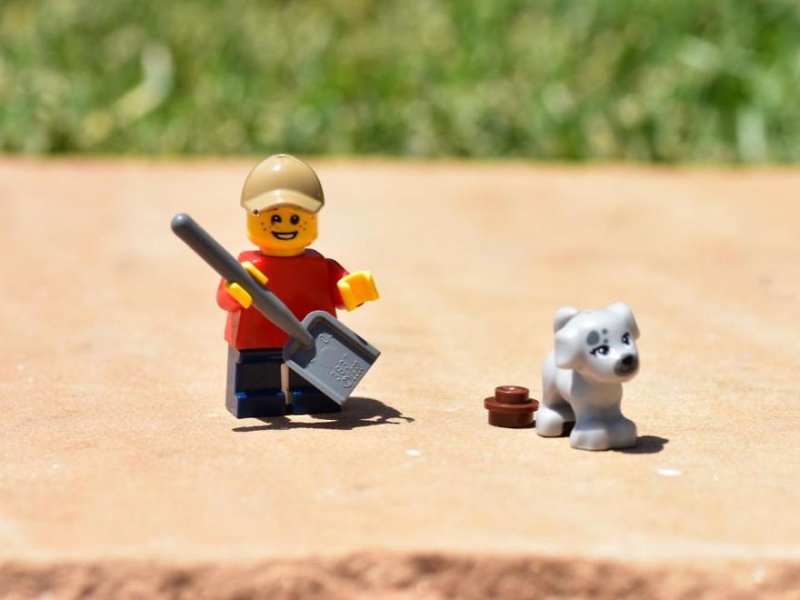 My Leggodt Mini-Figure Family Adventures My Leggodt Mini-Figure Family Adventures