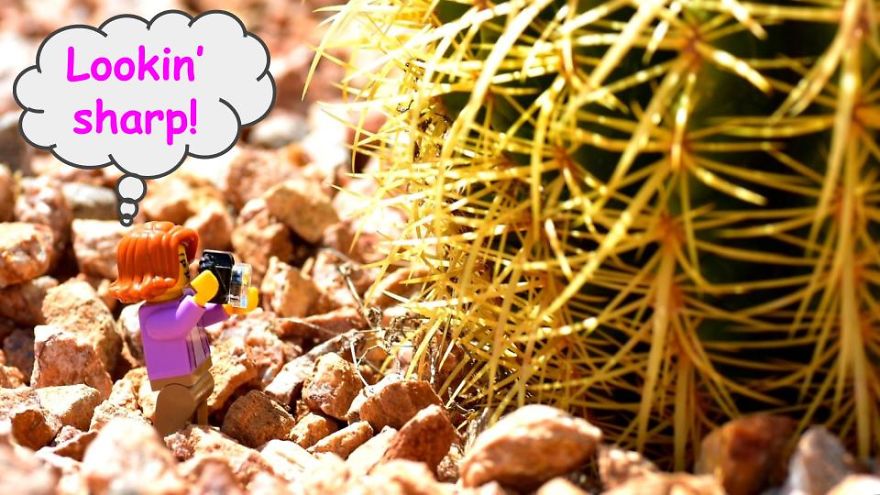 My Leggodt Mini-Figure Family Adventures My Leggodt Mini-Figure Family Adventures