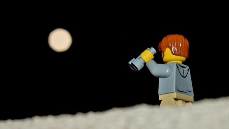 My Leggodt Mini-Figure Family Adventures My Leggodt Mini-Figure Family Adventures