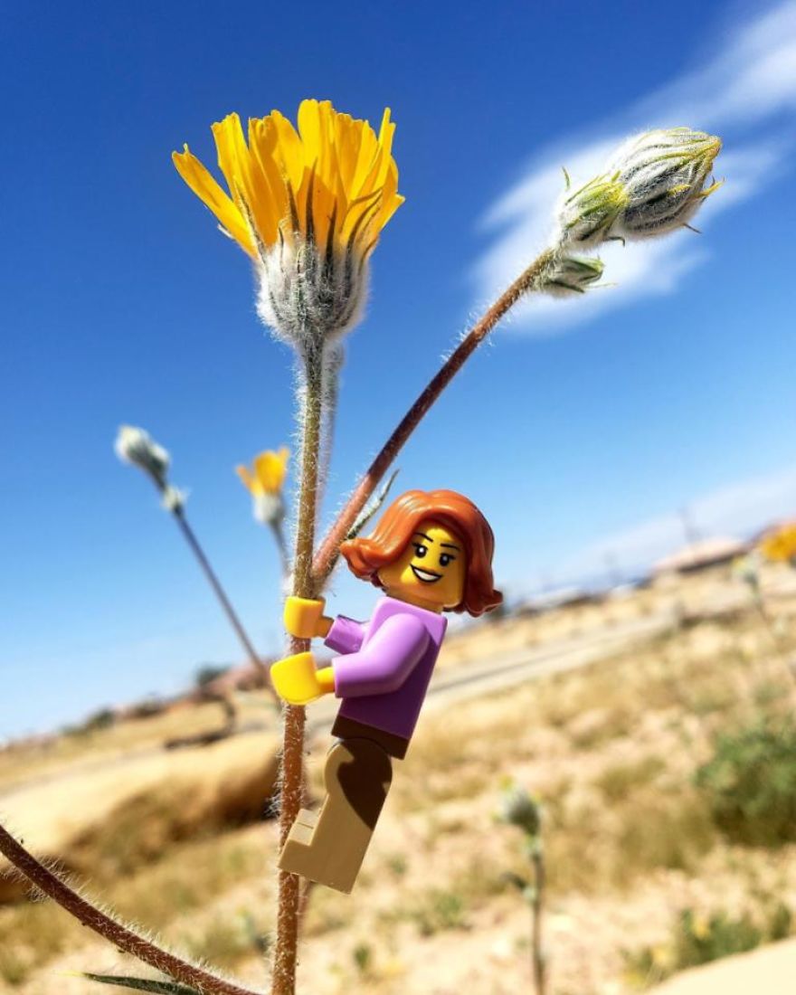 My Leggodt Mini-Figure Family Adventures My Leggodt Mini-Figure Family Adventures