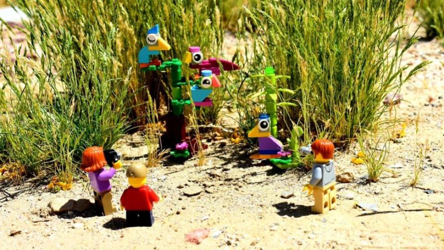 My Leggodt Mini-Figure Family Adventures My Leggodt Mini-Figure Family Adventures