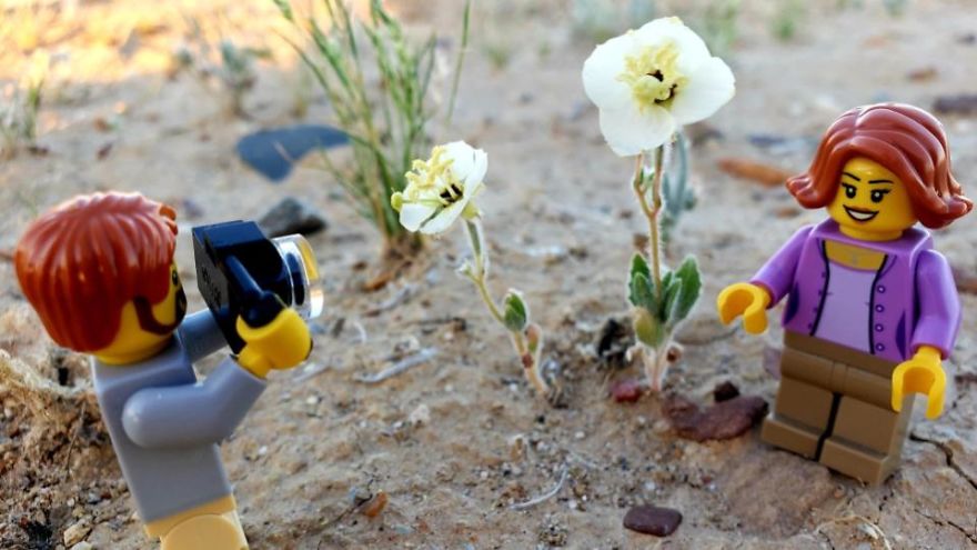 My Leggodt Mini-Figure Family Adventures My Leggodt Mini-Figure Family Adventures