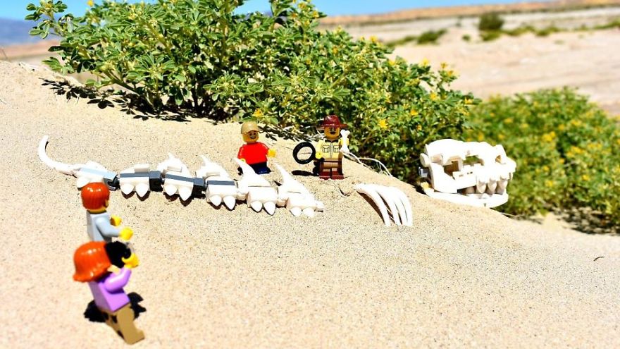 My Leggodt Mini-Figure Family Adventures My Leggodt Mini-Figure Family Adventures