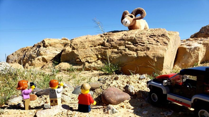 My Leggodt Mini-Figure Family Adventures My Leggodt Mini-Figure Family Adventures