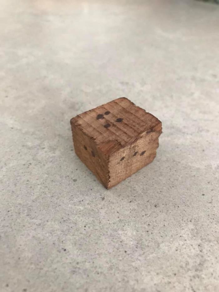 40 Times People Couldn’t Believe Their Luck In Thrift Stores (New Pics) 40 Times People Couldn’t Believe Their Luck In Thrift Stores (New Pics)