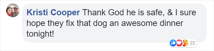 “We Don’t Deserve Dogs”: Missing Autistic Toddler Found In The Care Of His Family’s Dogs “We Don’t Deserve Dogs”: Missing Autistic Toddler Found In The Care Of His Family’s Dogs