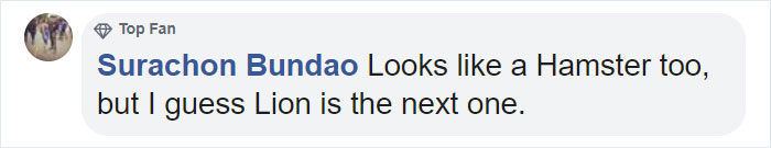 Meet Leo, An Earless Rabbit Who Looks Like A Tiny Lion Meet Leo, An Earless Rabbit Who Looks Like A Tiny Lion