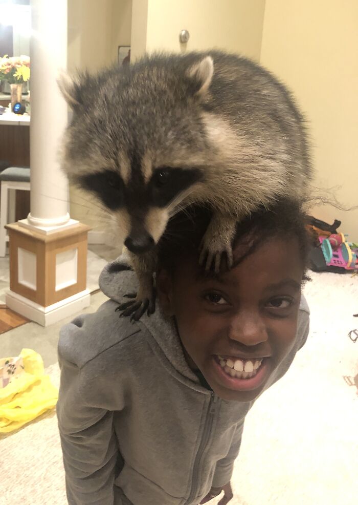 Post The Funniest Picture Of Your Pet! (Closed) Post The Funniest Picture Of Your Pet! (Closed)