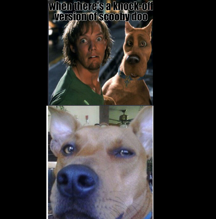 Hey Pandas, Share Your Favorite Memes That You Made (Closed) Hey Pandas, Share Your Favorite Memes That You Made (Closed)