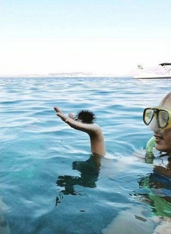 People Are Adding Misleading Titles To These Images, Completely Changing What Our Brain Sees And Here Are 50 Of The Best Ones People Are Adding Misleading Titles To These Images, Completely Changing What Our Brain Sees And Here Are 50 Of The Best Ones