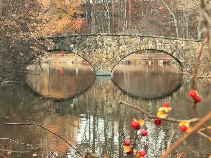 People Are Adding Misleading Titles To These Images, Completely Changing What Our Brain Sees And Here Are 50 Of The Best Ones People Are Adding Misleading Titles To These Images, Completely Changing What Our Brain Sees And Here Are 50 Of The Best Ones