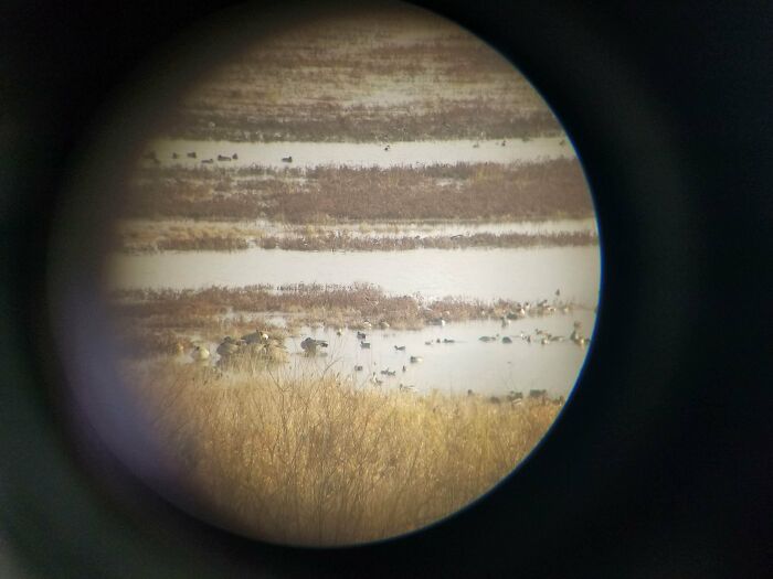 People Are Adding Misleading Titles To These Images, Completely Changing What Our Brain Sees And Here Are 50 Of The Best Ones People Are Adding Misleading Titles To These Images, Completely Changing What Our Brain Sees And Here Are 50 Of The Best Ones