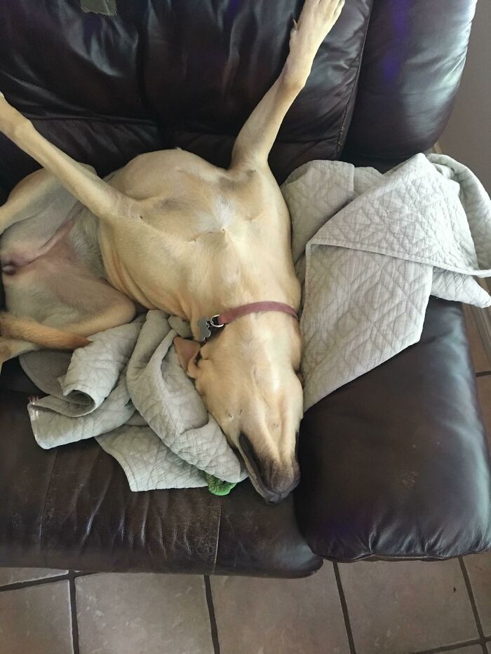 People Are Adding Misleading Titles To These Images, Completely Changing What Our Brain Sees And Here Are 50 Of The Best Ones People Are Adding Misleading Titles To These Images, Completely Changing What Our Brain Sees And Here Are 50 Of The Best Ones