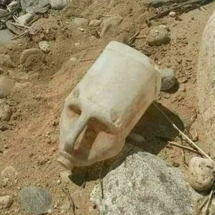 People Are Adding Misleading Titles To These Images, Completely Changing What Our Brain Sees And Here Are 50 Of The Best Ones People Are Adding Misleading Titles To These Images, Completely Changing What Our Brain Sees And Here Are 50 Of The Best Ones