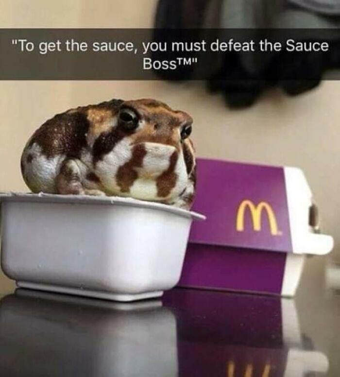 People Are Adding Misleading Titles To These Images, Completely Changing What Our Brain Sees And Here Are 50 Of The Best Ones People Are Adding Misleading Titles To These Images, Completely Changing What Our Brain Sees And Here Are 50 Of The Best Ones