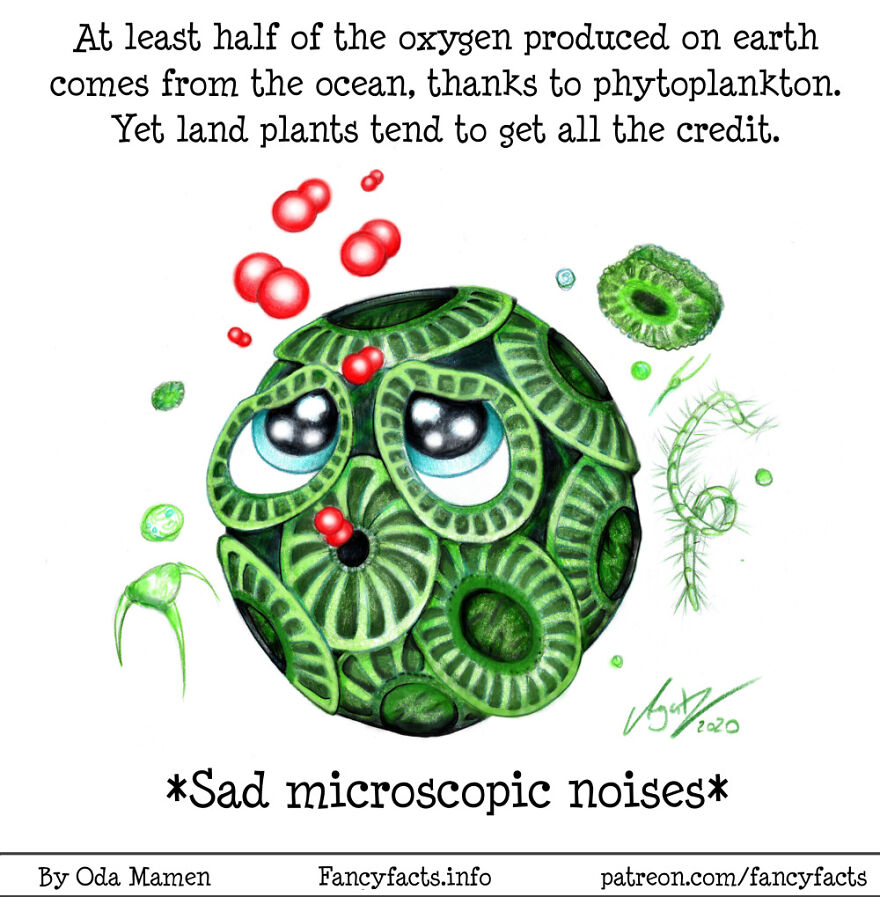 Here Are My 26 Interesting Scientific Facts Illustrated In An Understandable Way (New Pics) Here Are My 26 Interesting Scientific Facts Illustrated In An Understandable Way (New Pics)